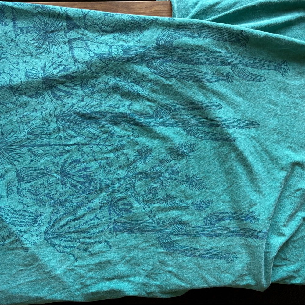 Vintage 80’s Hanes Teal desert Short Sleeve Tee - Picture 2 of 6